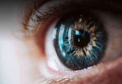 Oftalmology services